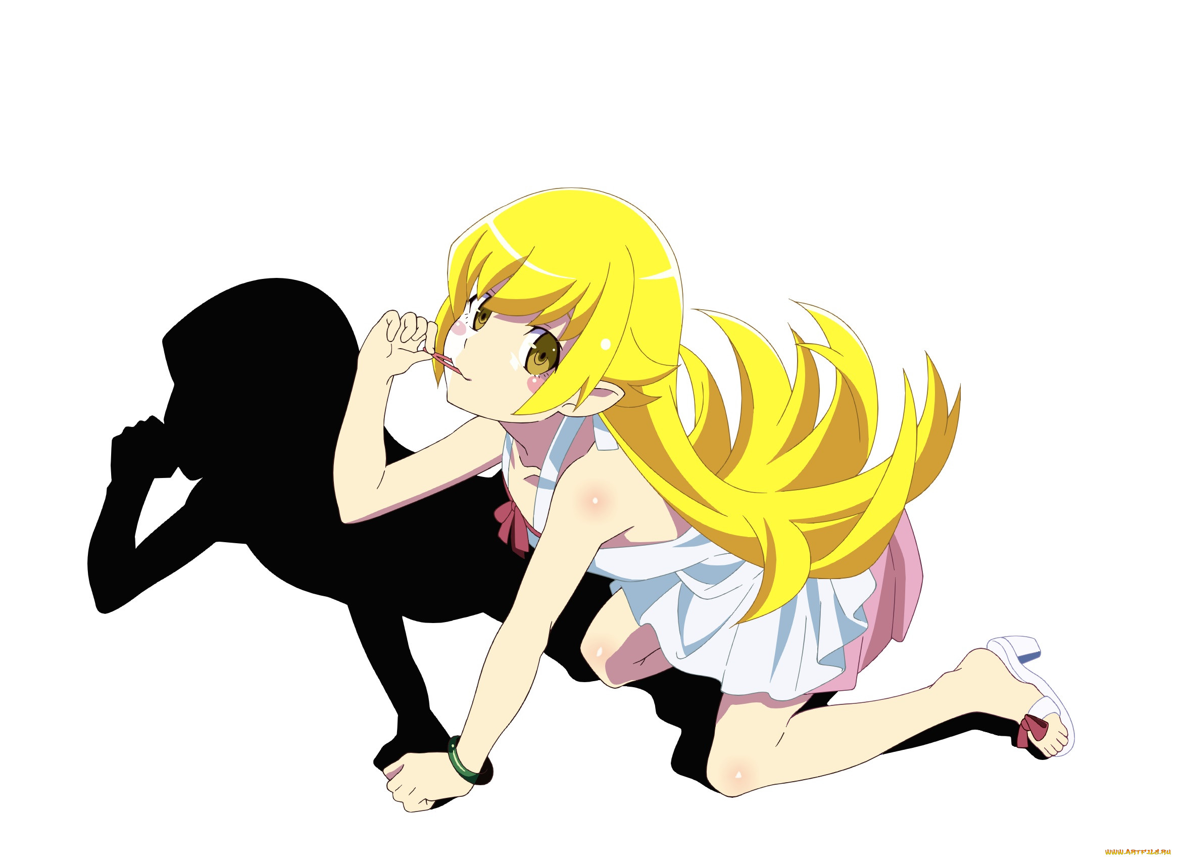 , bakemonogatari, , , 